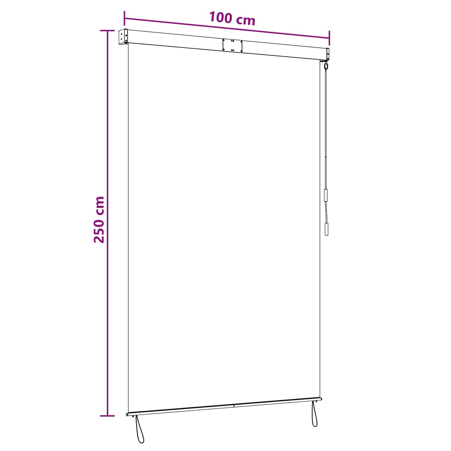 vidaXL Ρόλερ Γκρι και Λευκό 100 x 250 cm Ύφασμα και Αλουμίνιο