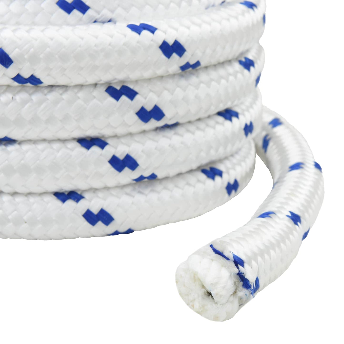 vidaXL Σχοινί Boat 3 mm 50 m Λευκό και Μπλε