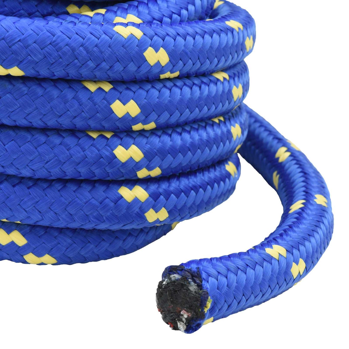 vidaXL Σχοινί Boat 5 mm 25 m Μπλε