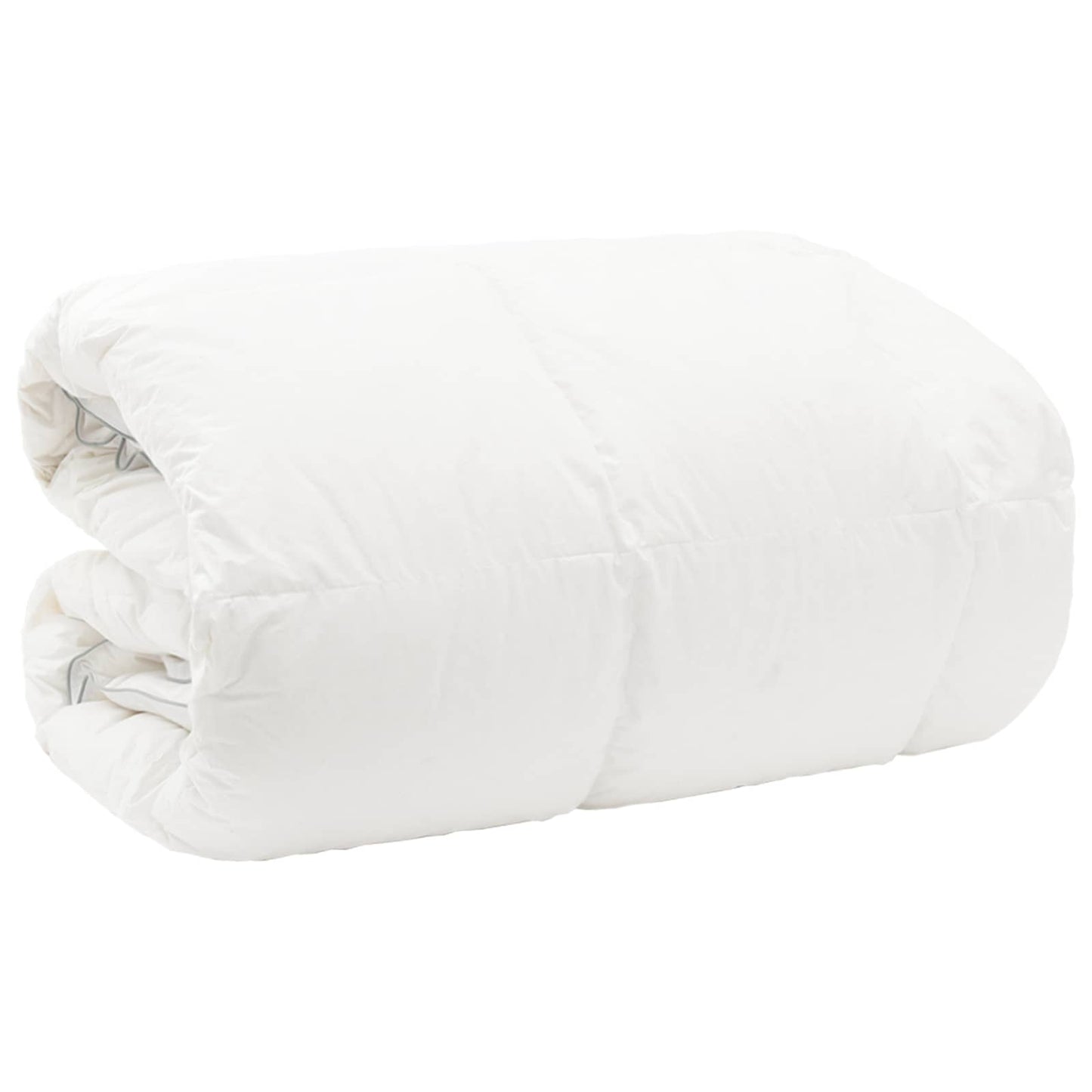 vidaXL Πάπλωμα FULDA 200 x 220 cm Χειμώνας 300 GSM 90% Χήνας Λευκό