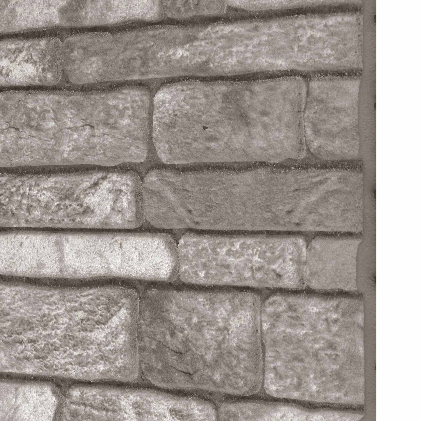 vidaXL Πάνελ τοίχου 10 pcs Σκούρο Γκρι 100 x 50 cm Αφρός EPS