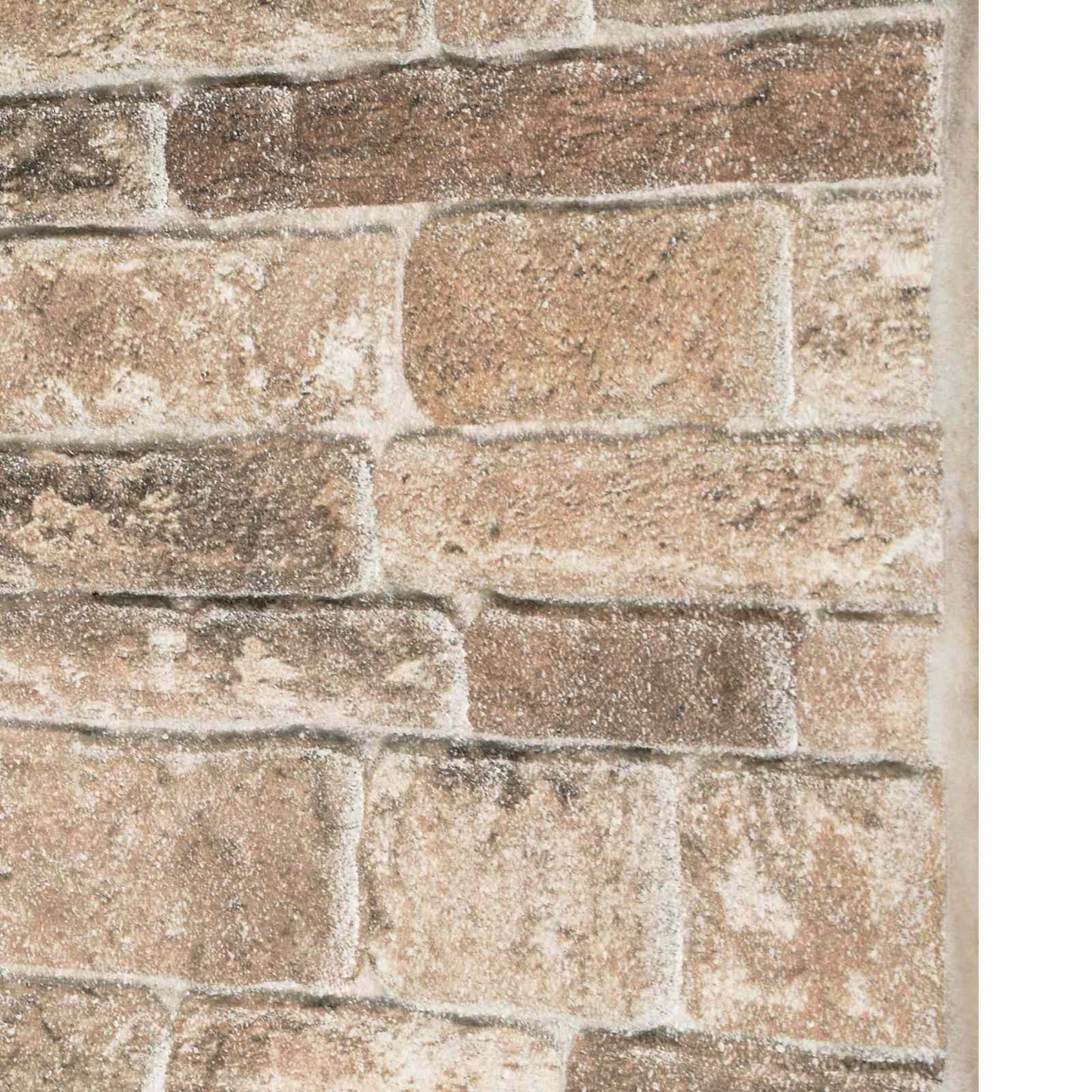 vidaXL Πάνελ τοίχου 10 pcs Πολύχρωμο 100 x 50 cm Αφρός EPS