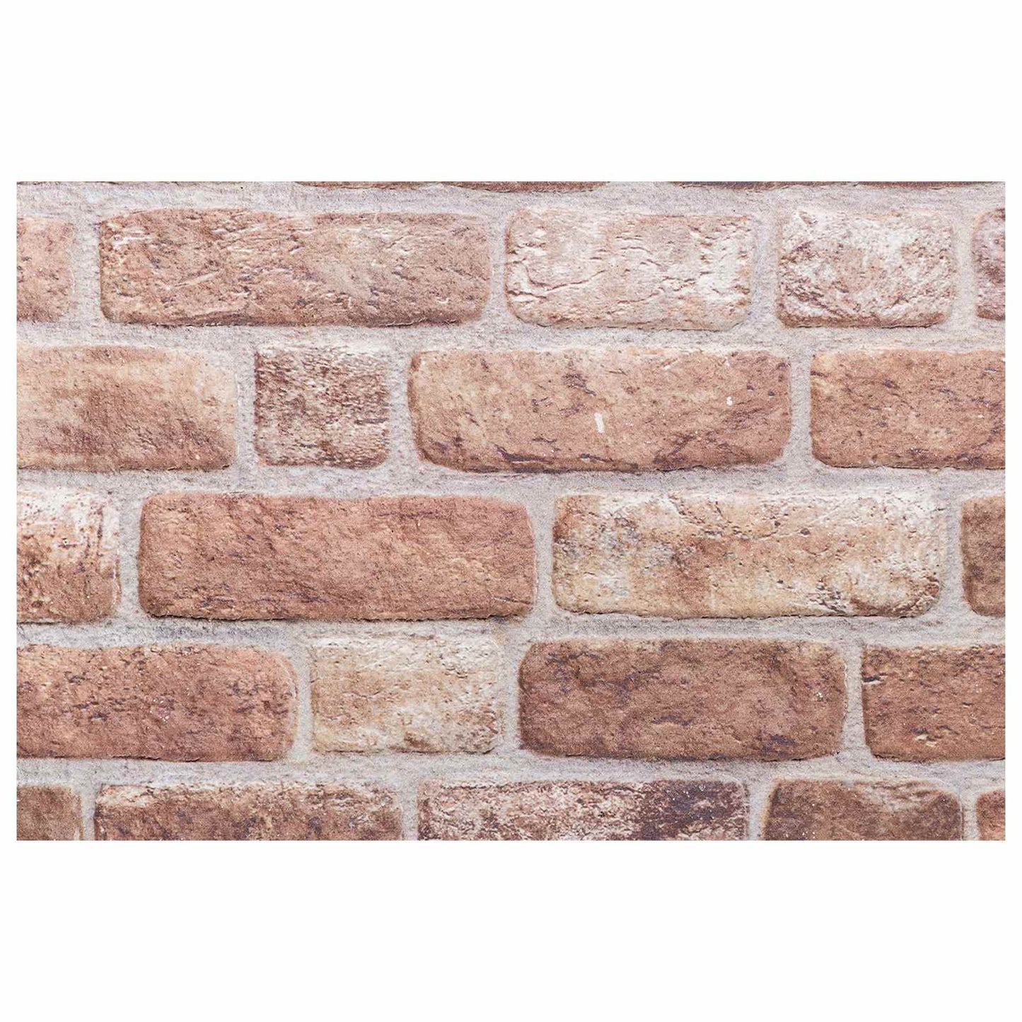 vidaXL Πάνελ τοίχου 10 pcs Καφέ 100 x 50 cm Αφρός EPS