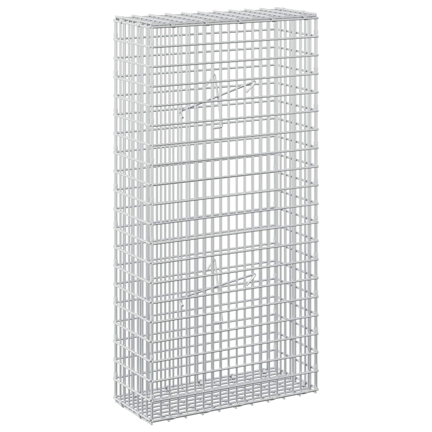 vidaXL Γκαμπιόν με σύρμα 3,5 mm και πλέγμα 5x2,5 cm 50x20x100 εκ