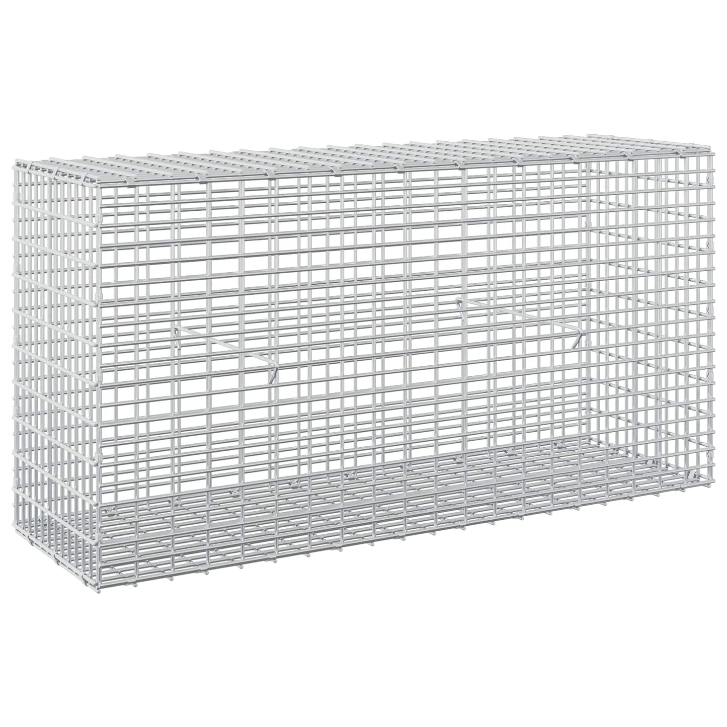 vidaXL Γκαμπιόν με σύρμα 3,5 mm και πλέγμα 5x2,5 cm 100x30x50 εκ