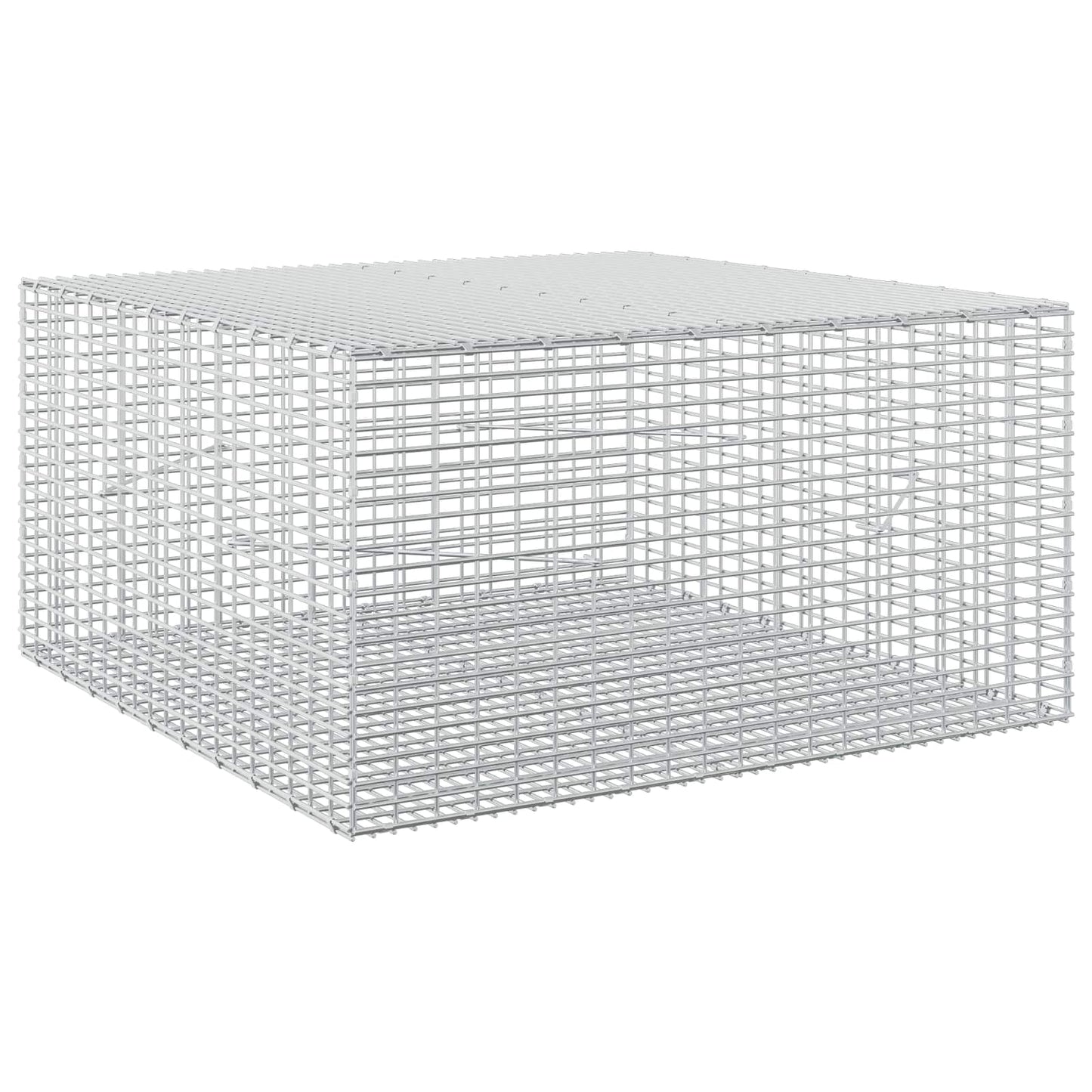vidaXL Γκαμπιόν με σύρμα 3,5 mm και πλέγμα 5x2,5 cm 100x100x50 εκ