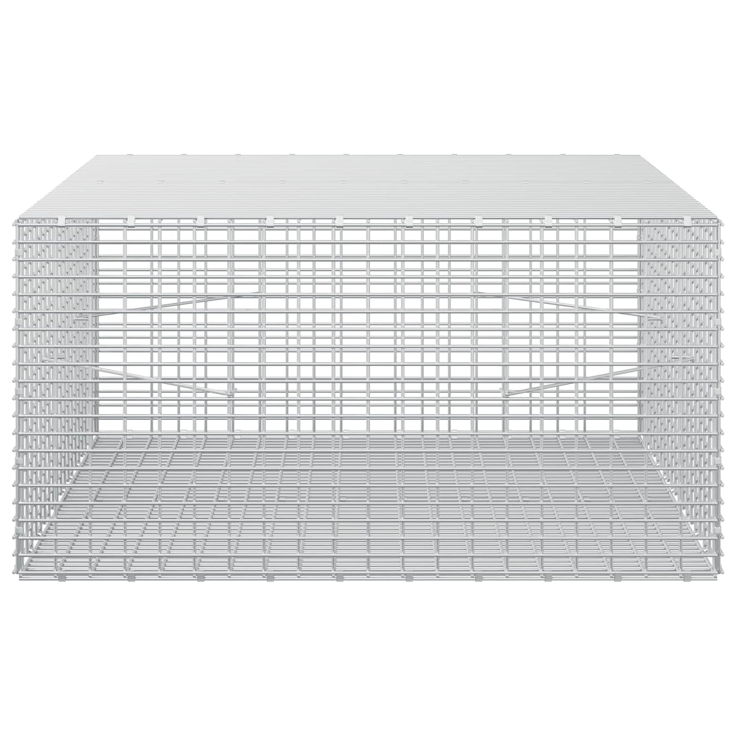 vidaXL Γκαμπιόν με σύρμα 3,5 mm και πλέγμα 5x2,5 cm 100x100x50 εκ