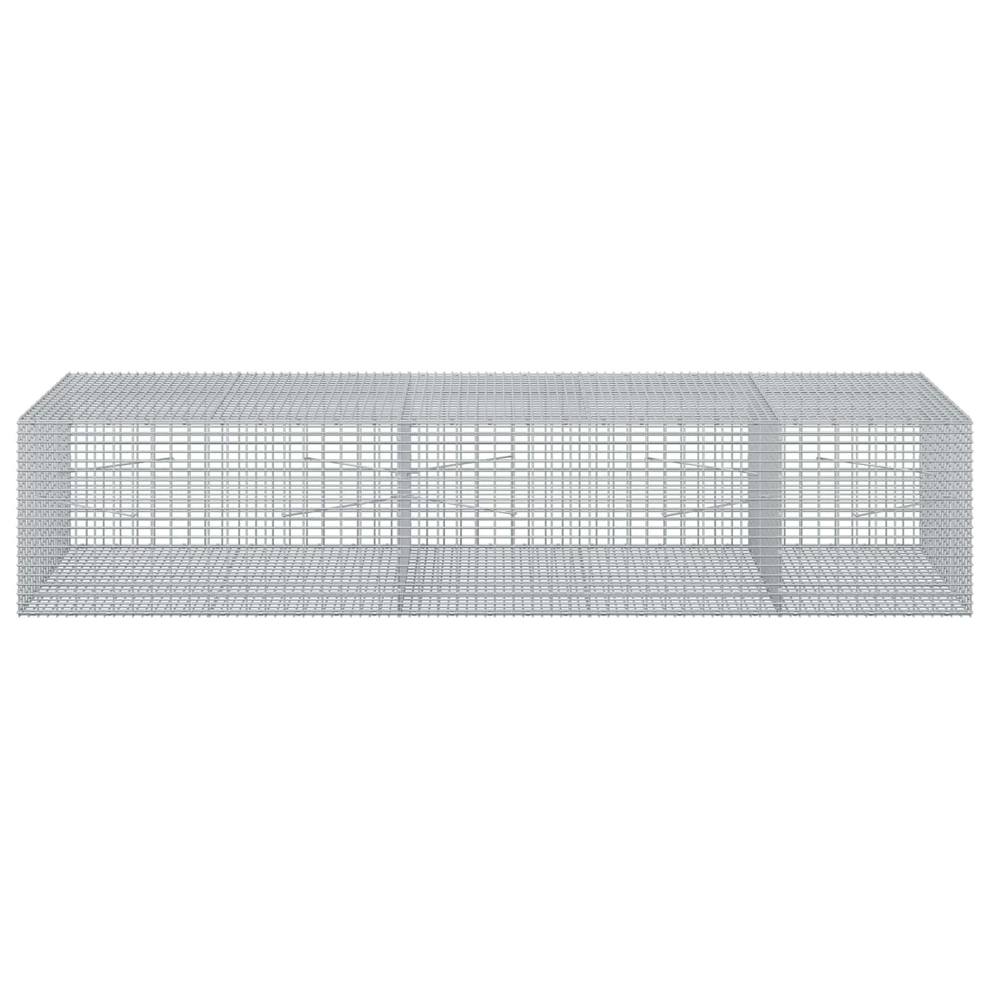 vidaXL Γκαμπιόν με σύρμα 3,5 χλστ και πλέγμα 5x2,5 εκ 250x100x50 εκ.