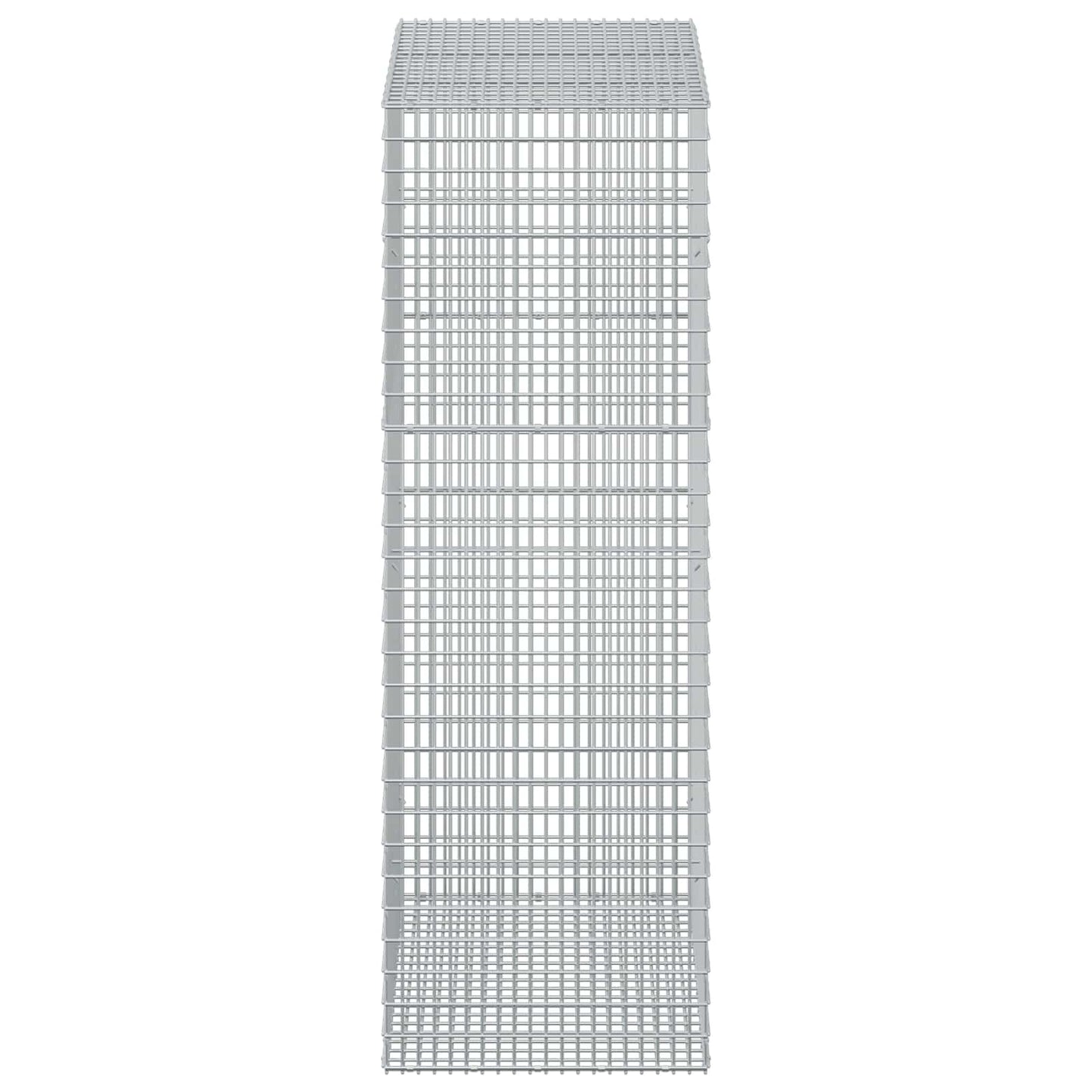vidaXL Γκαμπιόν με σύρμα 3,5 mm και πλέγμα 5x2,5 cm 50x100x150 εκ.