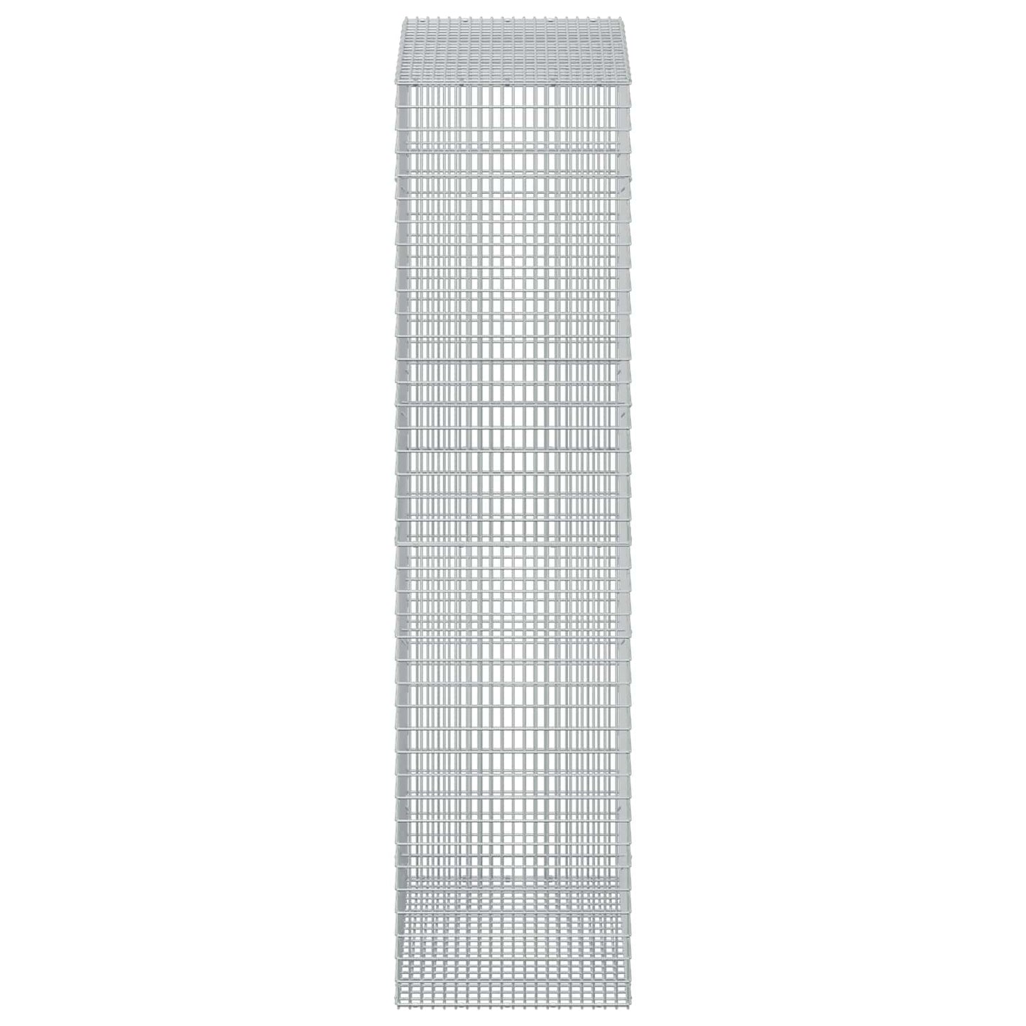 vidaXL Γκαμπιόν με σύρμα 3,5 mm και πλέγμα 5x2,5 cm 50x100x200 εκ