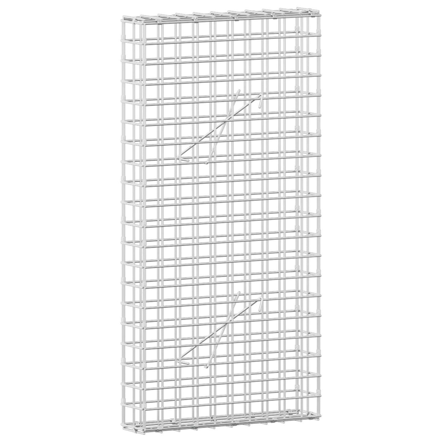vidaXL Γκαμπιόν με Σύρμα 3,5 mm και Πλέγμα 5x5 cm 50x10x100 εκ