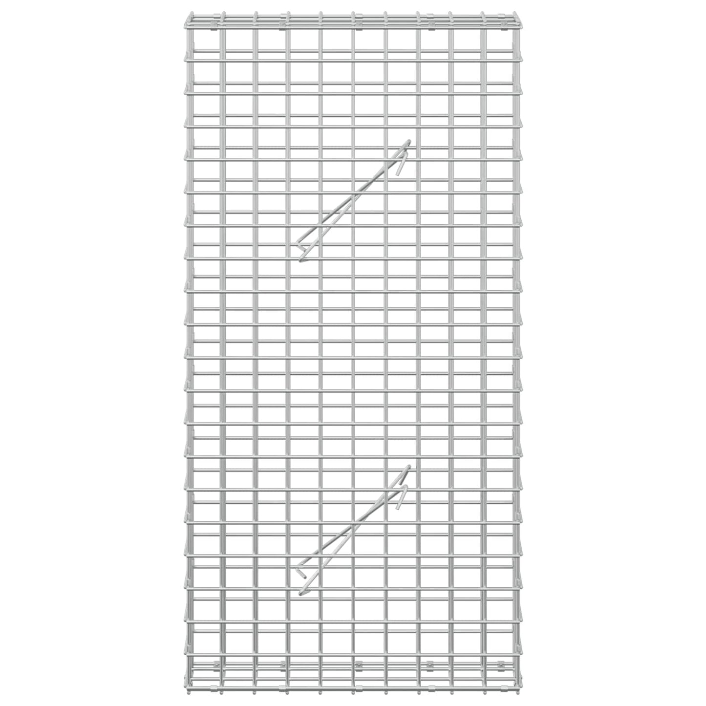 vidaXL Γκαμπιόν με Σύρμα 3,5 mm και Πλέγμα 5x5 cm 50x10x100 εκ