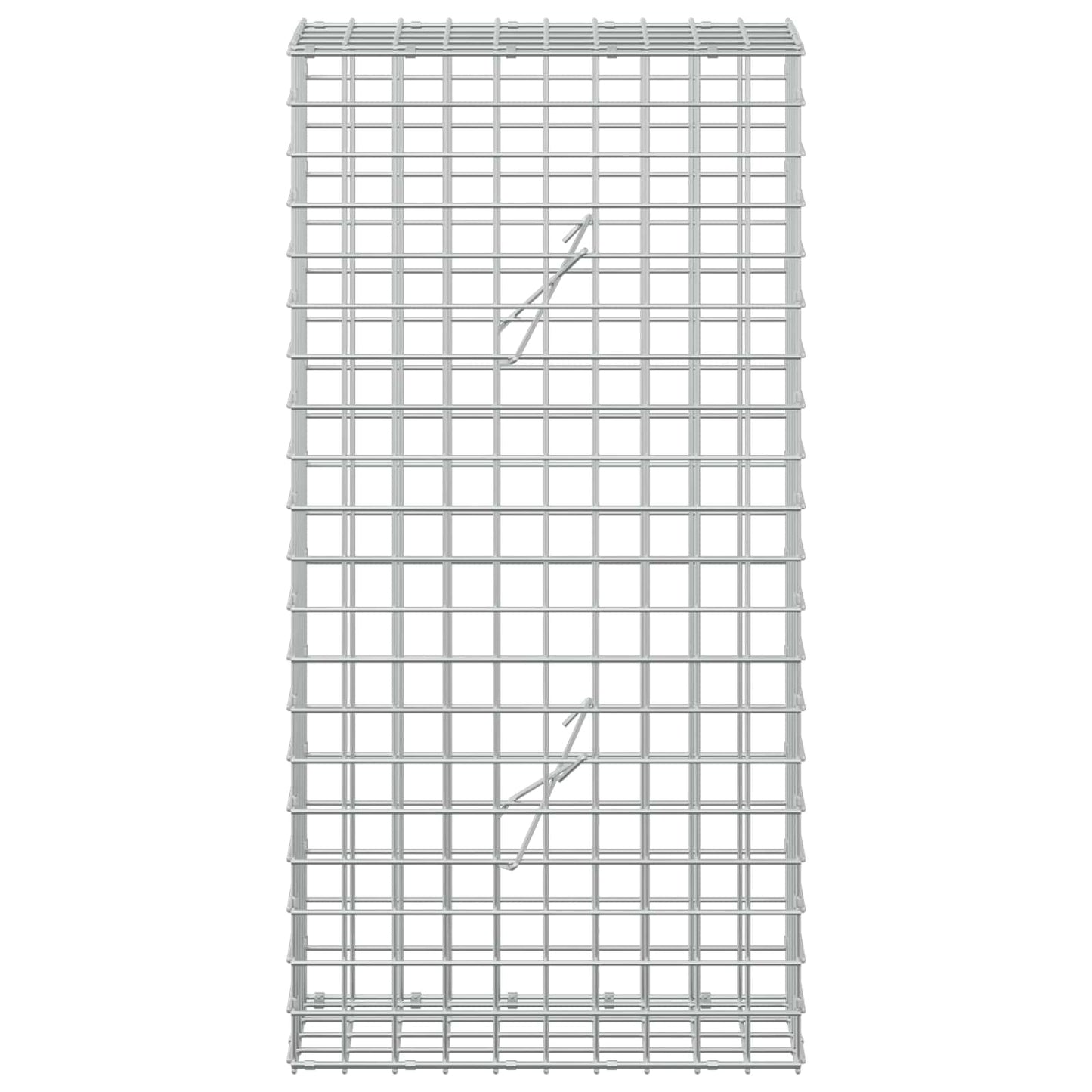 vidaXL Γκαμπιόν με Σύρμα 3,5 mm και Πλέγμα 5x5 cm 50x20x100 εκ