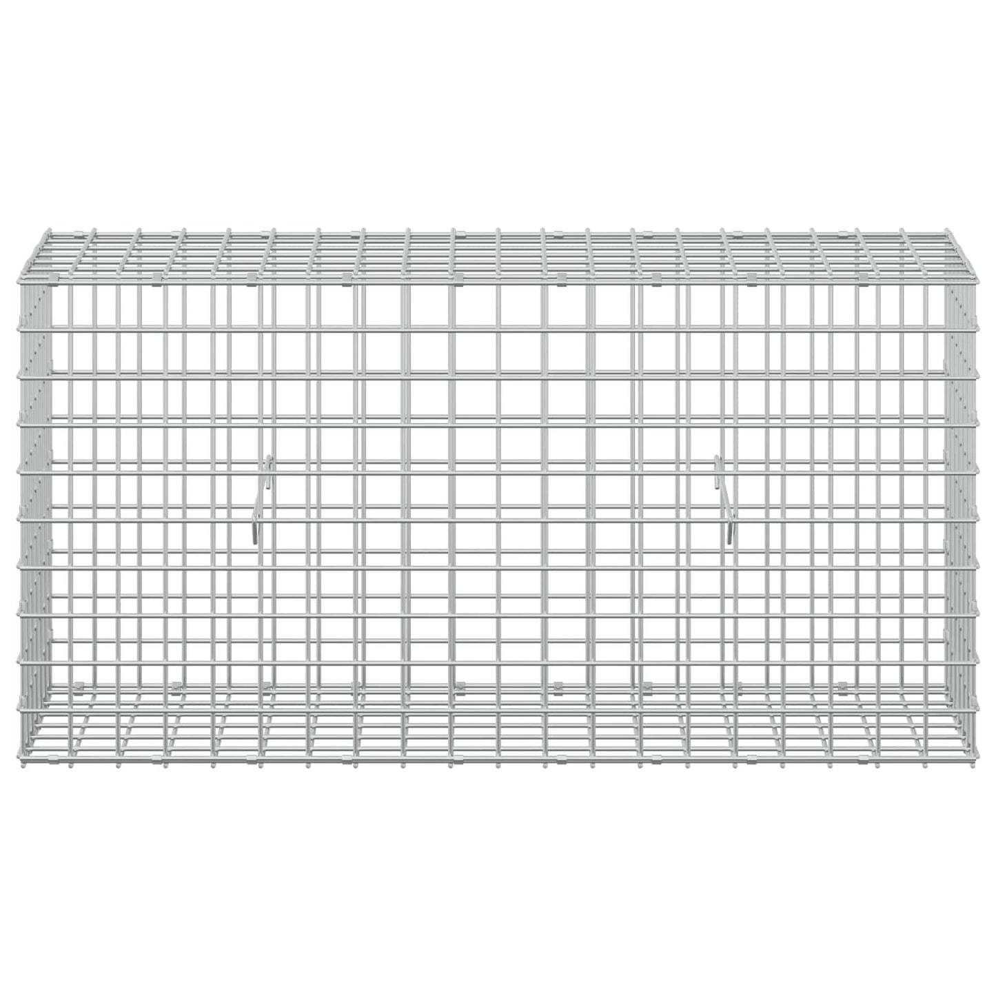 vidaXL Γκαμπιόν με Σύρμα 3,5 mm και Πλέγμα 5x5 cm 100x30x50 εκ