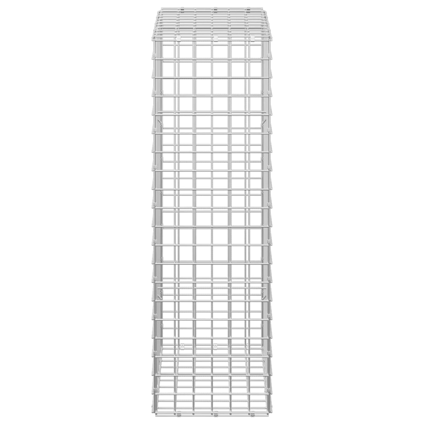 vidaXL Γκαμπιόν με Σύρμα 3,5 mm και Πλέγμα 5x5 cm 50x30x100 εκ