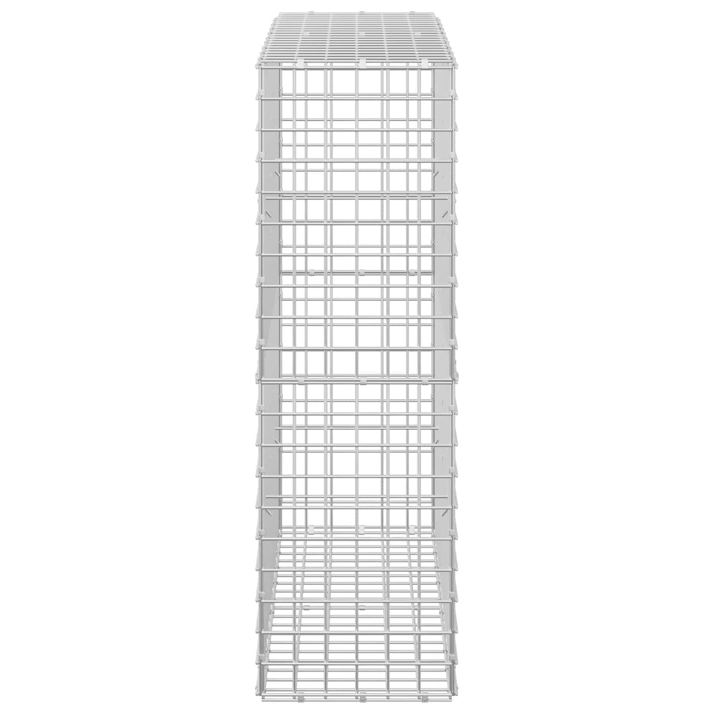 vidaXL Γκαμπιόν με Σύρμα 3,5 mm και Πλέγμα 5x5 cm 100x30x100 εκ