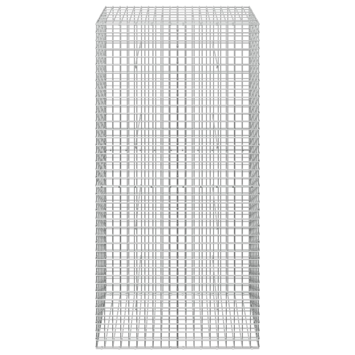 vidaXL Γκαμπιόν με Σύρμα 3,5 mm και Πλέγμα 5x5 cm 100x30x200 εκ.