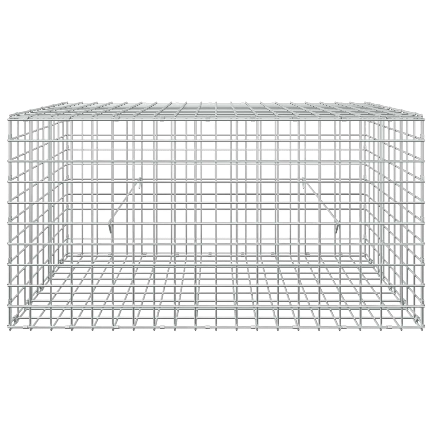 vidaXL Γκαμπιόν με Σύρμα 3,5 mm και Πλέγμα 5x5 cm 100x50x50 εκ