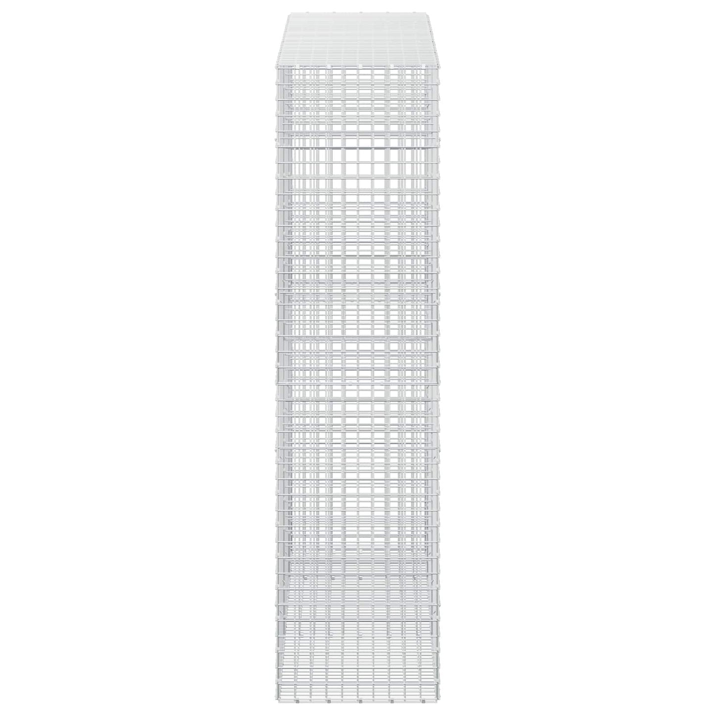 vidaXL Γκαμπιόν με Σύρμα 3,5 mm και Πλέγμα 5x5 cm 250x50x200 εκ.