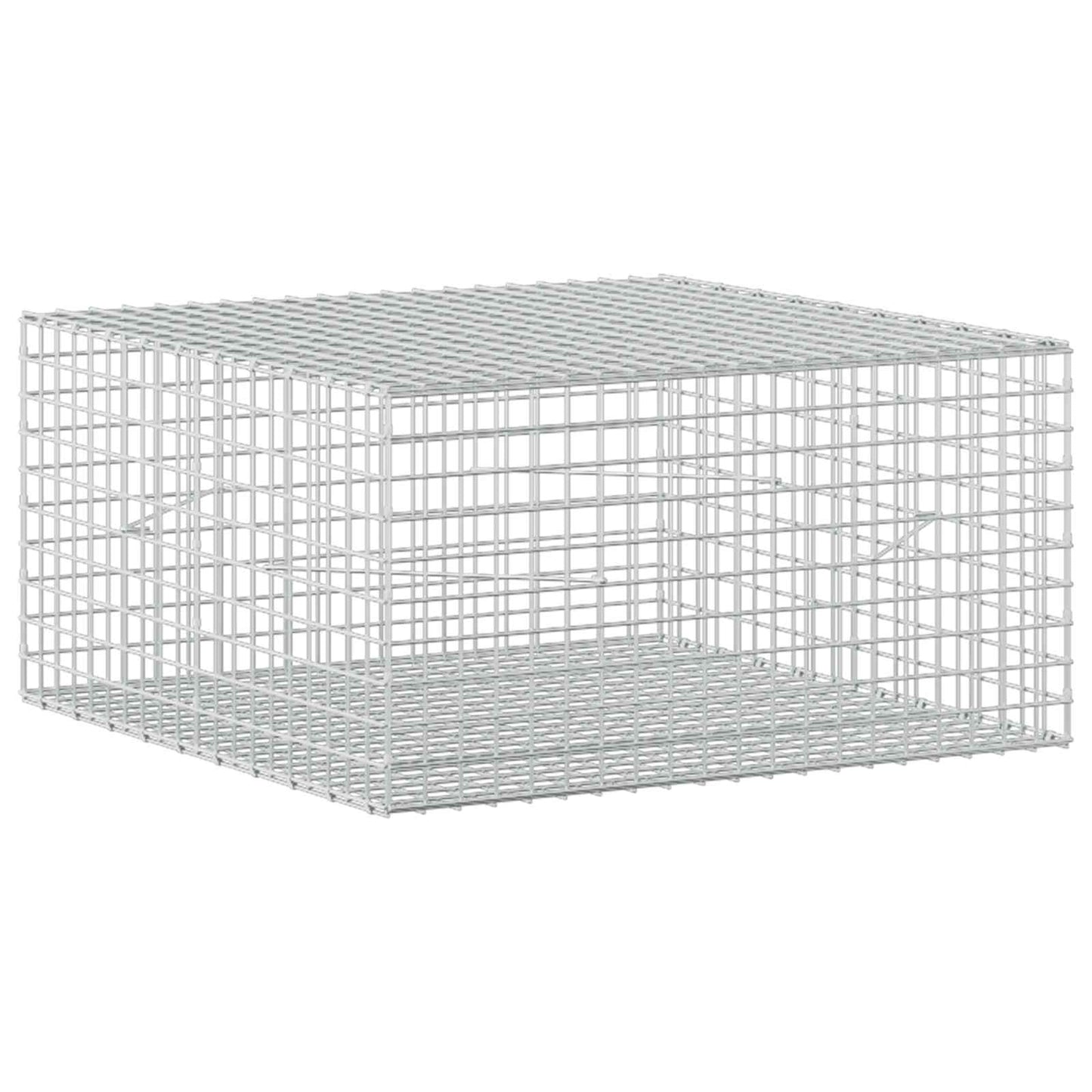 vidaXL Γκαμπιόν με Σύρμα 3,5 mm και Πλέγμα 5x5 cm 100x100x50 εκ