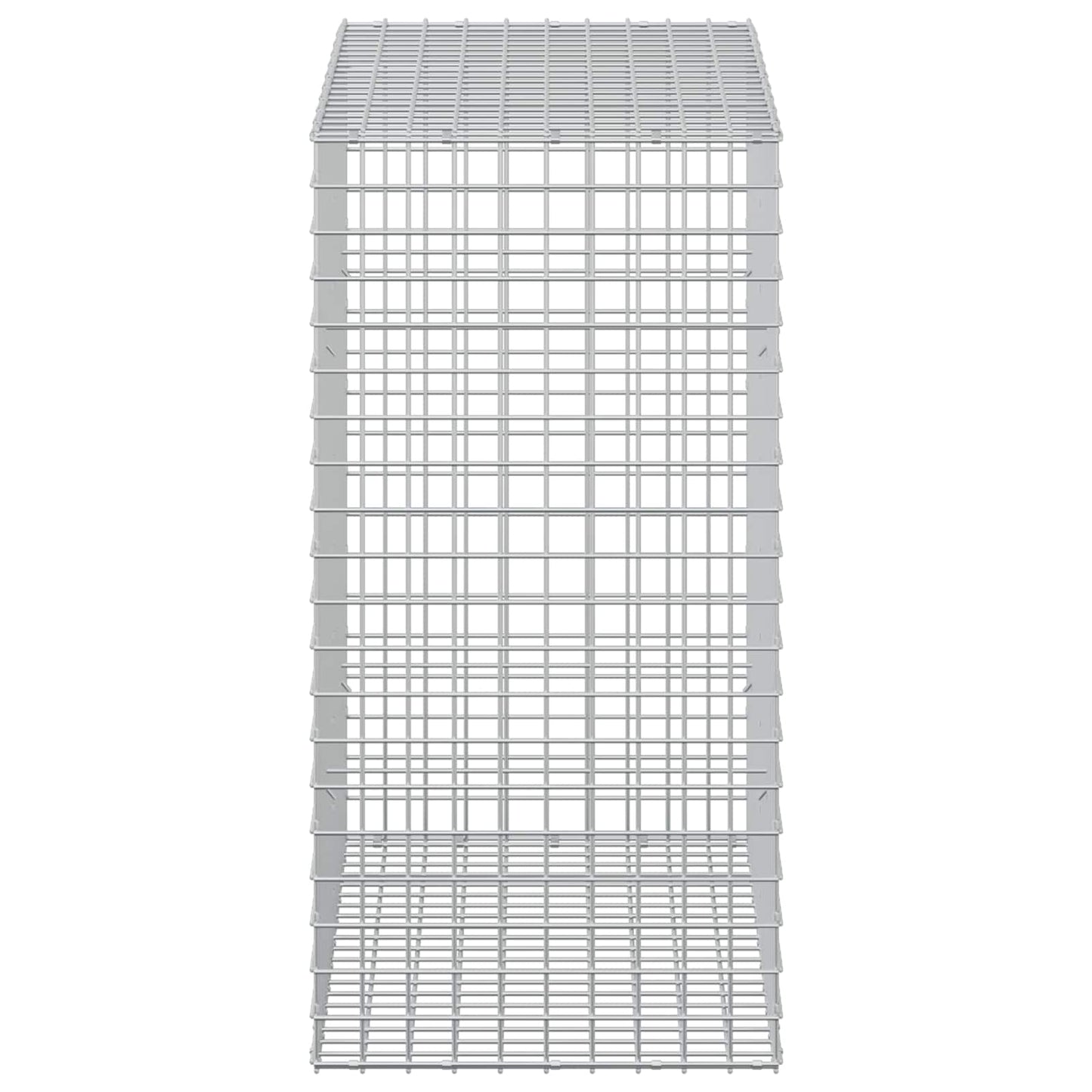 vidaXL Γκαμπιόν με Σύρμα 3,5 mm και Πλέγμα 5x5 cm 50x100x100 εκ