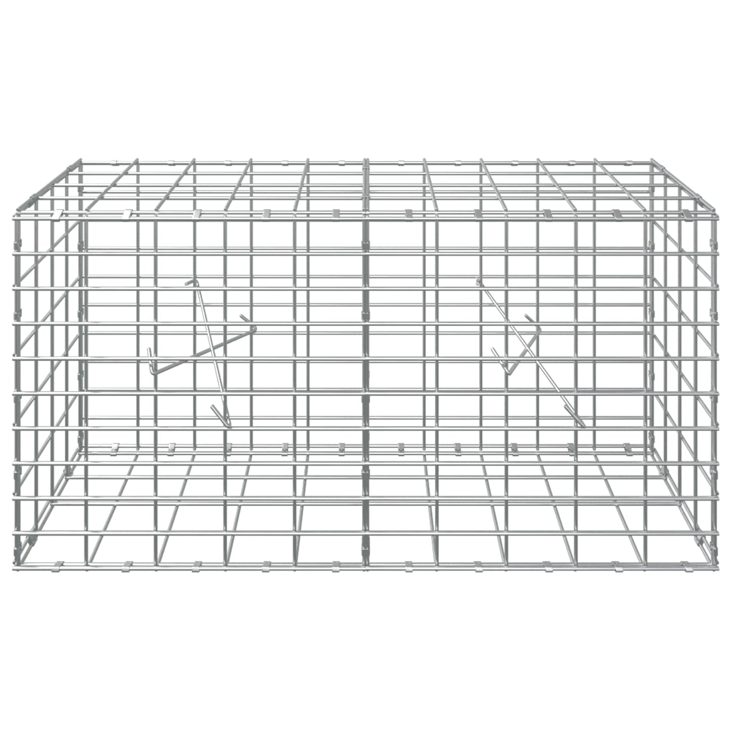 vidaXL Γκαμπιόν με σύρμα 3,5 mm και πλέγμα 5x10 cm 100x20x50 εκ