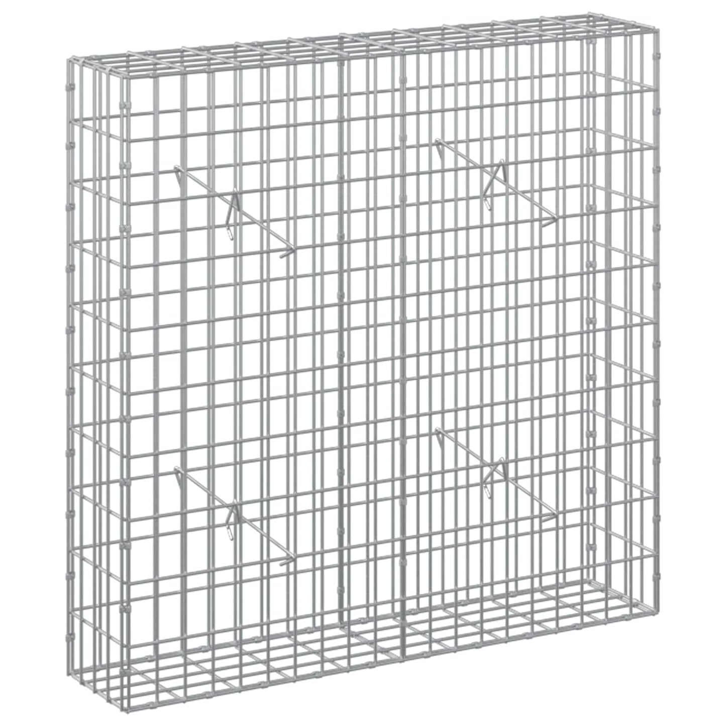 vidaXL Γκαμπιόν με σύρμα 3,5 mm και πλέγμα 5x10 cm 100x20x100 εκ.