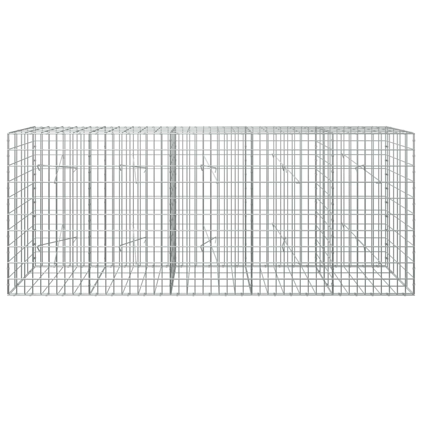 vidaXL Γκαμπιόν με σύρμα 3,5 mm και πλέγμα 5x10 cm 250x20x100 εκ