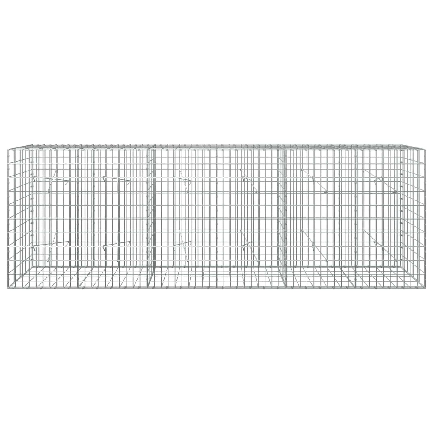 vidaXL Γκαμπιόν με σύρμα 3,5 mm και πλέγμα 5x10 cm 300x20x100 εκ