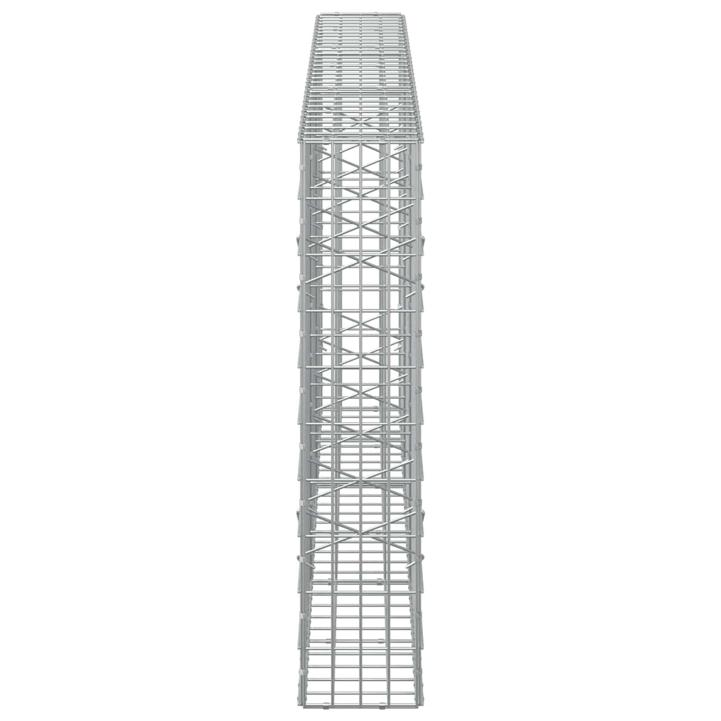 vidaXL Γκαμπιόν με σύρμα 3,5 mm και πλέγμα 5x10 cm 300x20x100 εκ