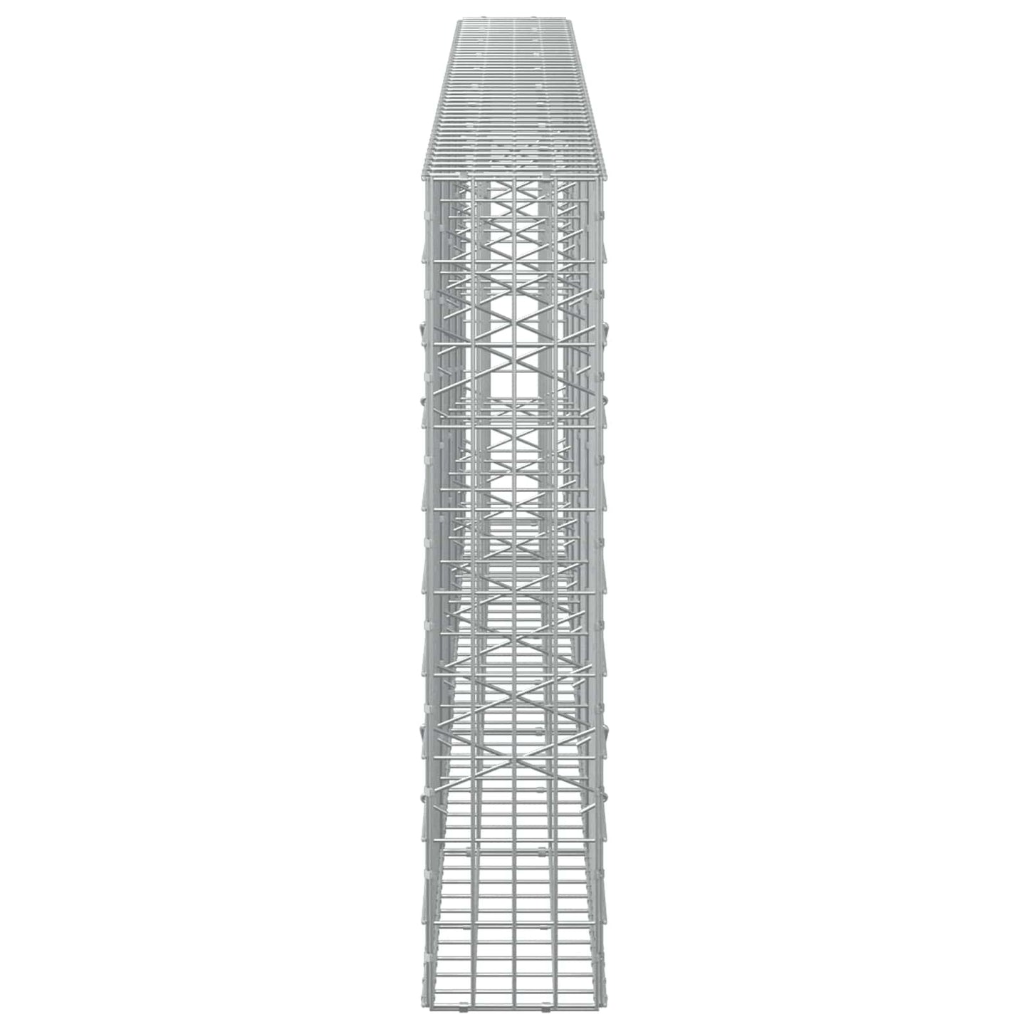 vidaXL Γκαμπιόν με σύρμα 3,5 mm και πλέγμα 5x10 cm 450x20x100 εκ