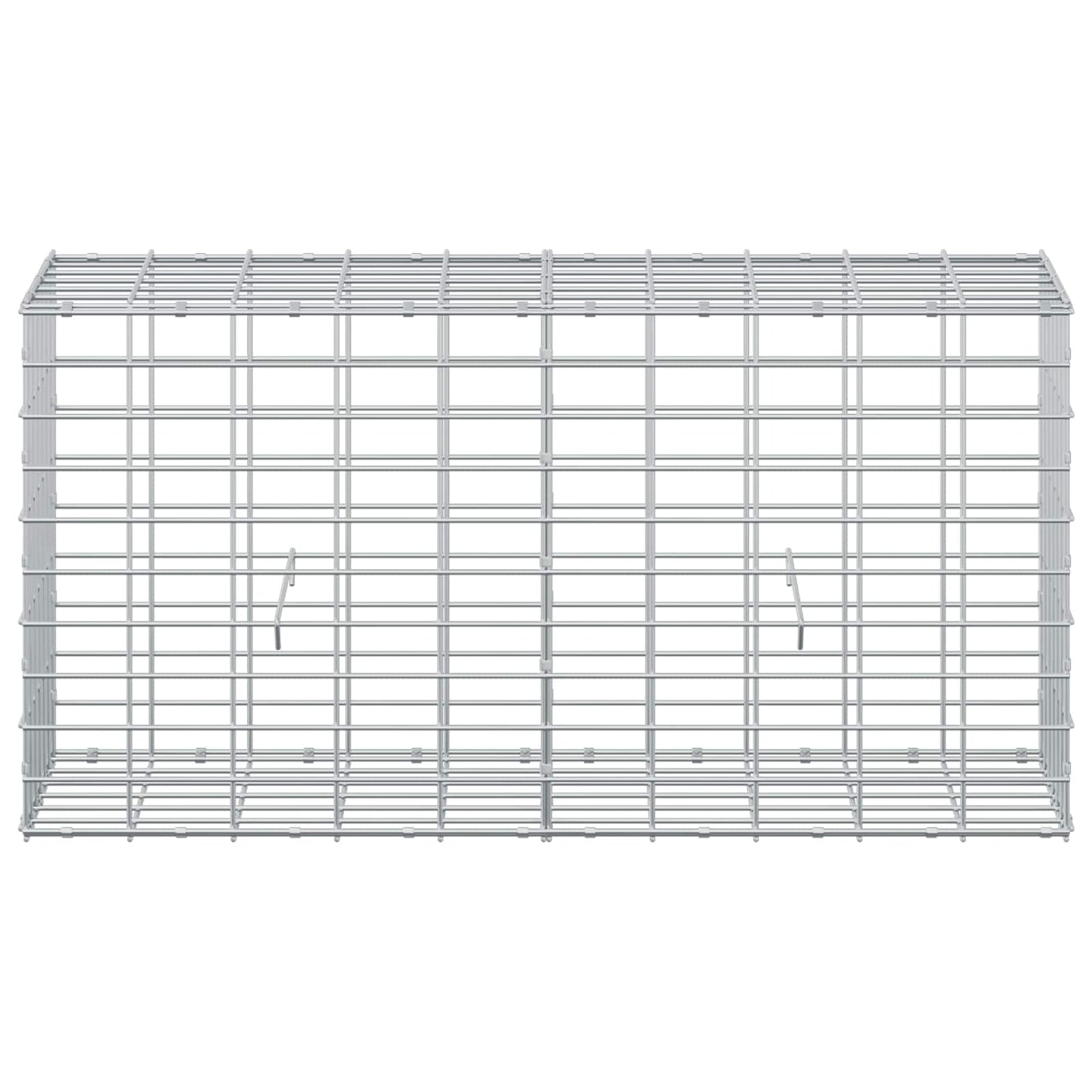 vidaXL Γκαμπιόν με σύρμα 3,5 mm και πλέγμα 5x10 cm 100x30x50 εκ