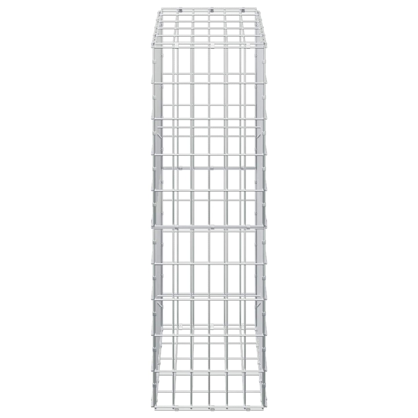 vidaXL Γκαμπιόν με σύρμα 3,5 mm και πλέγμα 5x10 cm 50x30x100 εκ