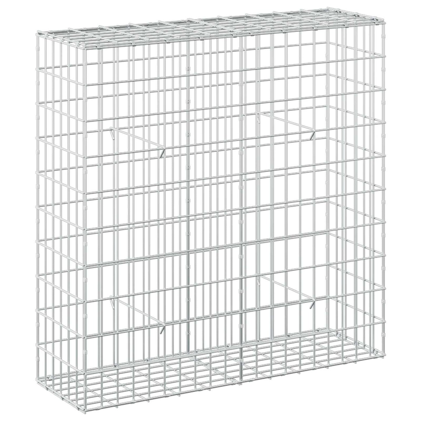 vidaXL Γκαμπιόν με σύρμα 3,5 mm και πλέγμα 5x10 cm 100x30x100 εκ