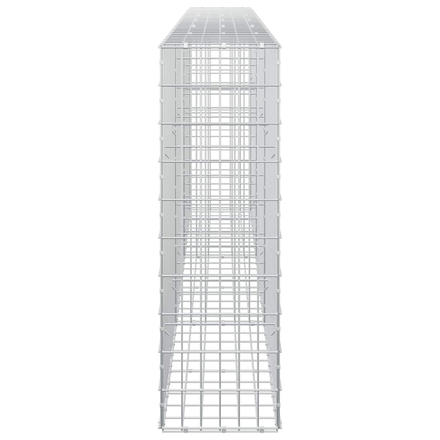 vidaXL Γκαμπιόν με σύρμα 3,5 mm και πλέγμα 5x10 cm 300x30x100 εκ