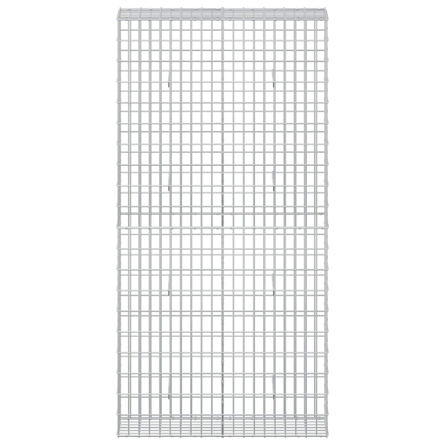 vidaXL Γκαμπιόν με σύρμα 3,5 mm και πλέγμα 5x10 cm 100x30x200 εκ.