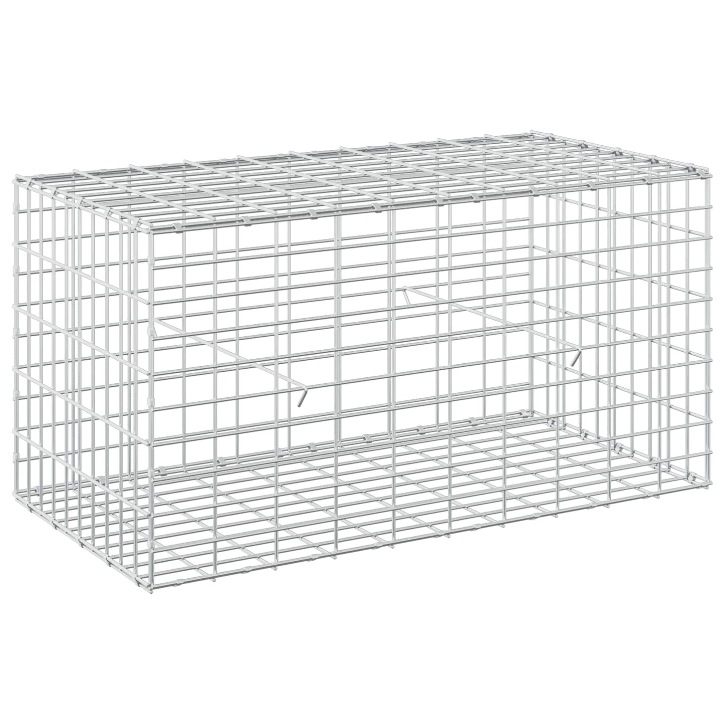 vidaXL Γκαμπιόν με σύρμα 3,5 mm και πλέγμα 5x10 cm 100x50x50 εκ