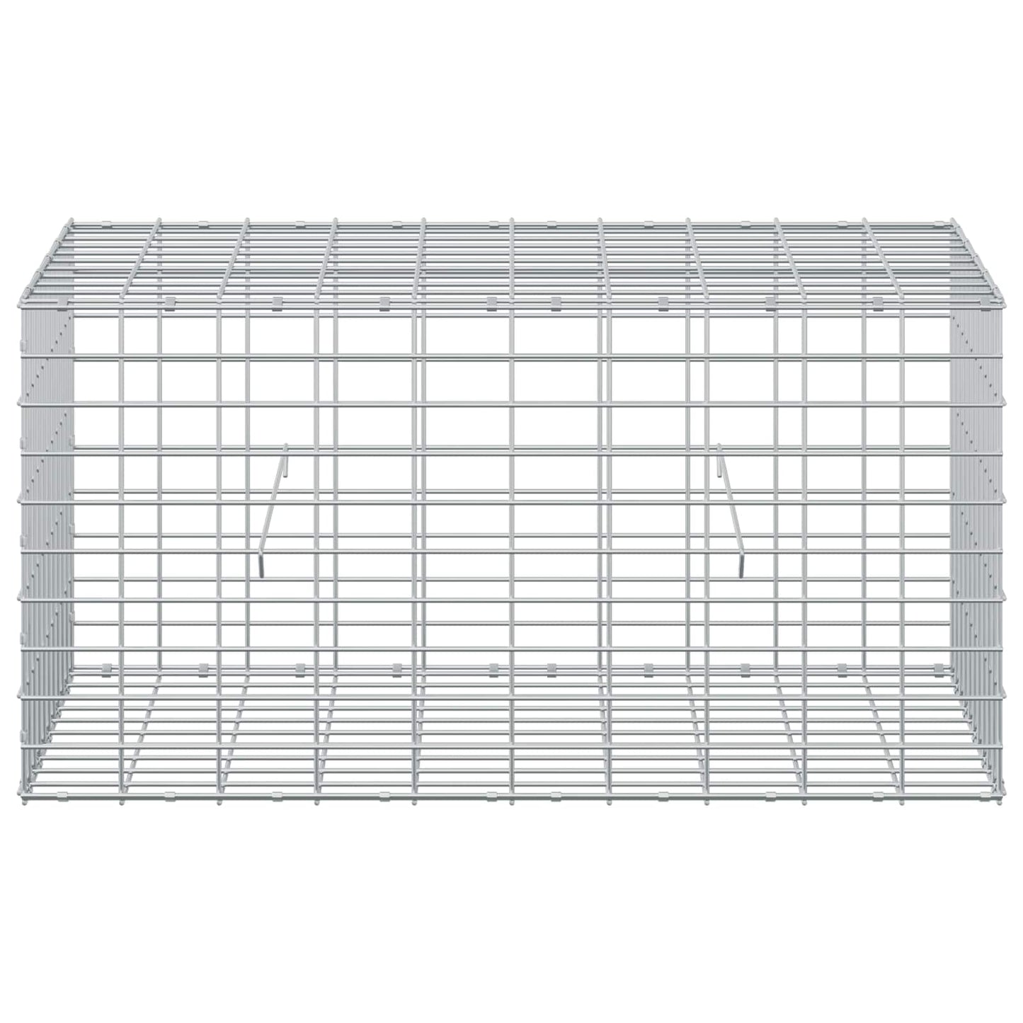 vidaXL Γκαμπιόν με σύρμα 3,5 mm και πλέγμα 5x10 cm 100x50x50 εκ
