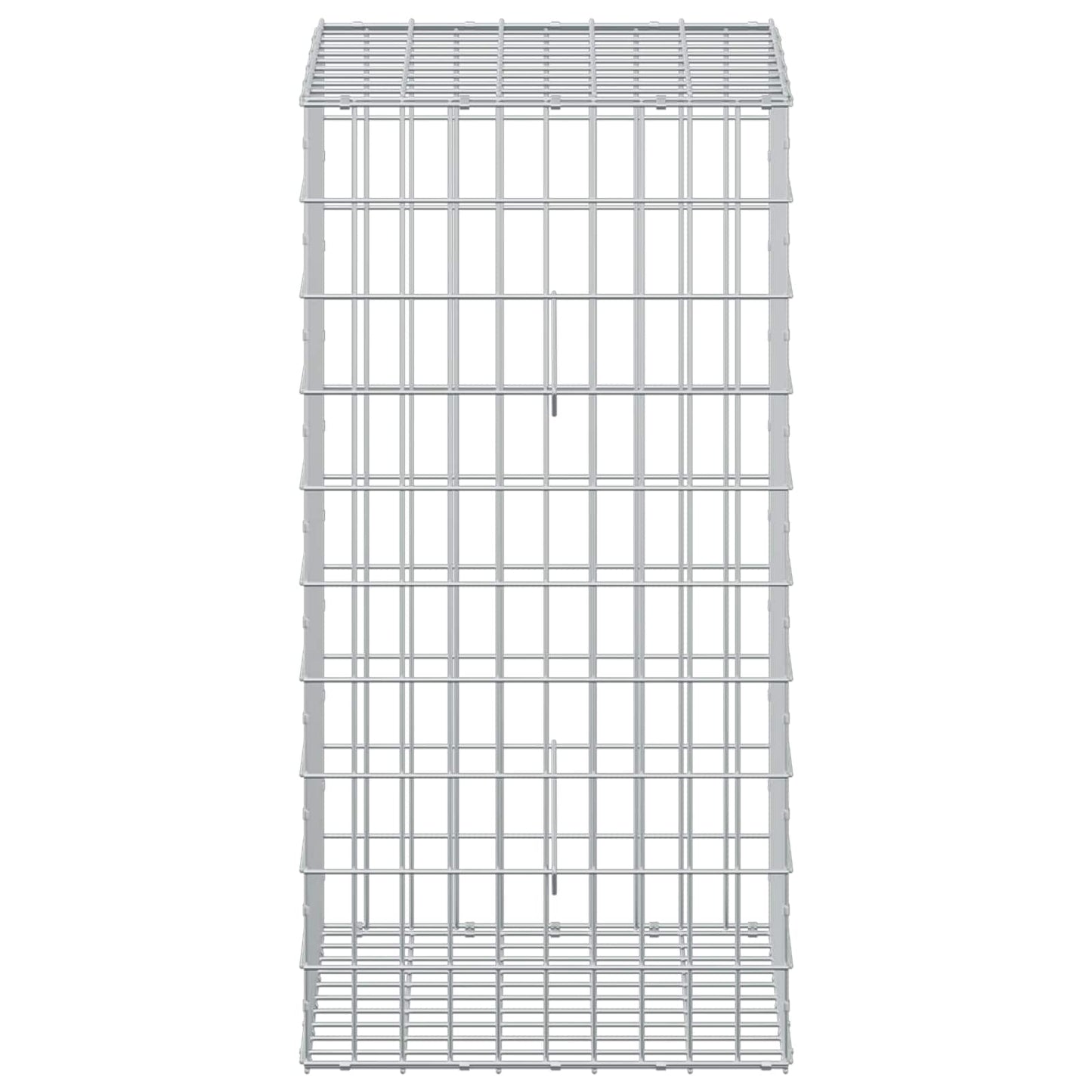 vidaXL Γκαμπιόν με σύρμα 3,5 mm και πλέγμα 5x10 cm 50x50x100 εκ