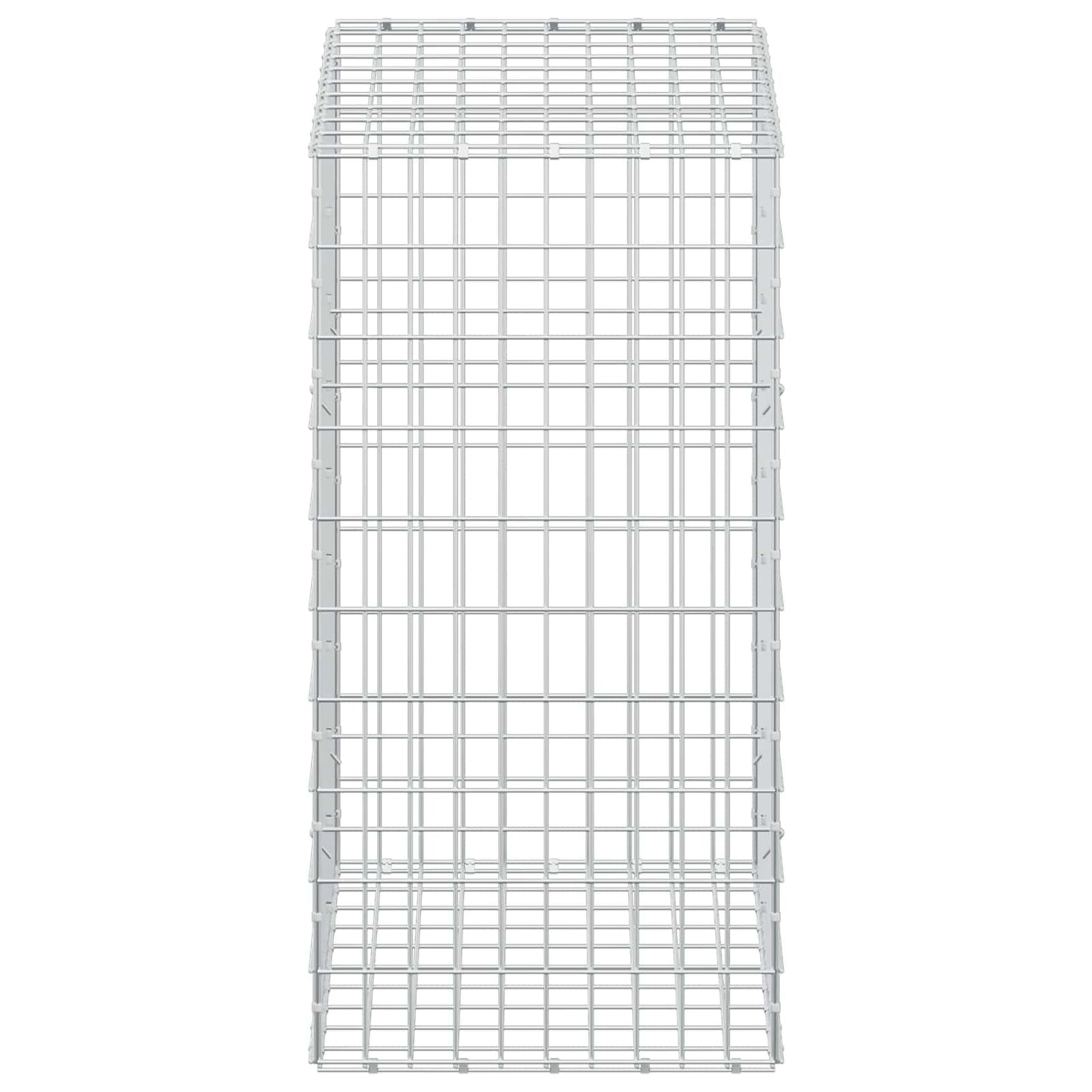vidaXL Γκαμπιόν με σύρμα 3,5 mm και πλέγμα 5x10 cm 100x50x100 εκ