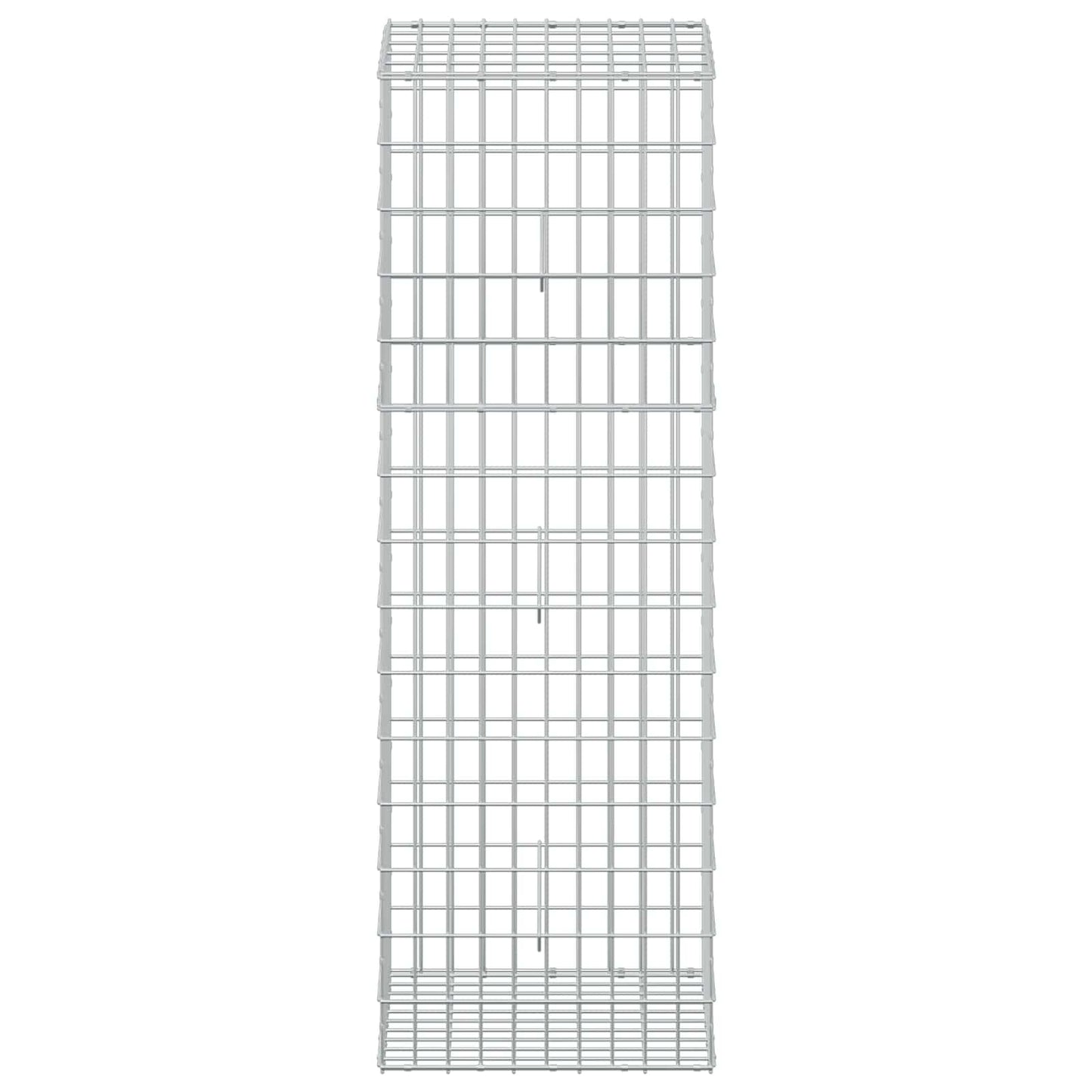 vidaXL Γκαμπιόν με σύρμα 3,5 mm και πλέγμα 5x10 cm 50x50x150 εκ