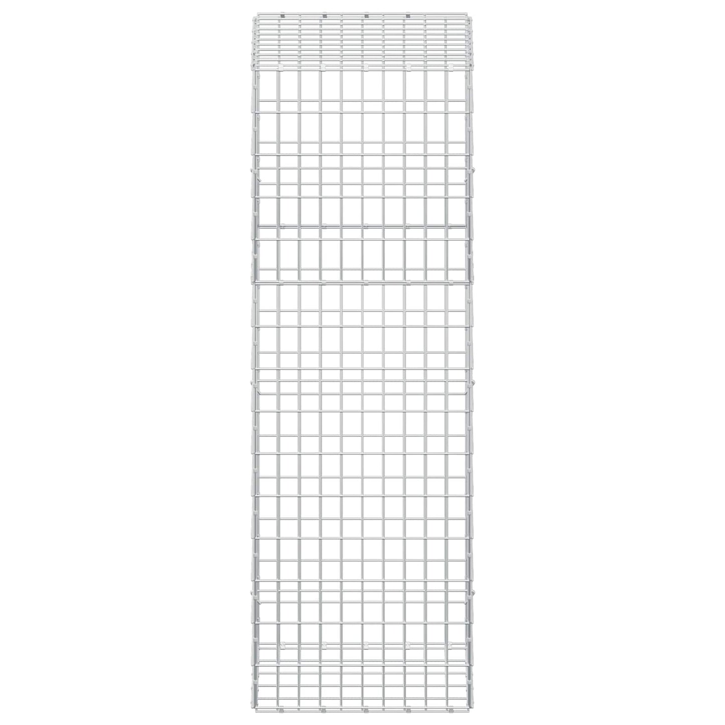 vidaXL Γκαμπιόν με σύρμα 3,5 mm και πλέγμα 5x10 cm 50x50x150 εκ