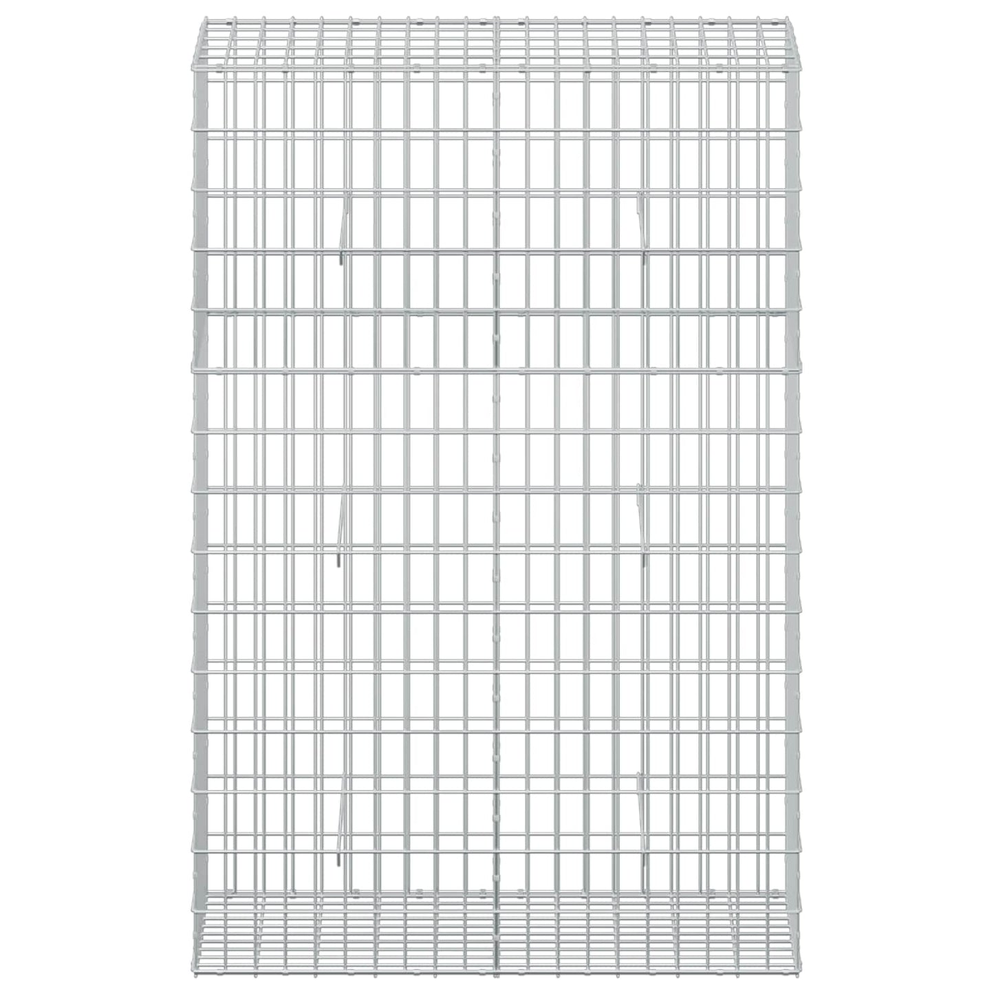 vidaXL Γκαμπιόν με σύρμα 3,5 mm και πλέγμα 5x10 cm 100x50x150 εκ