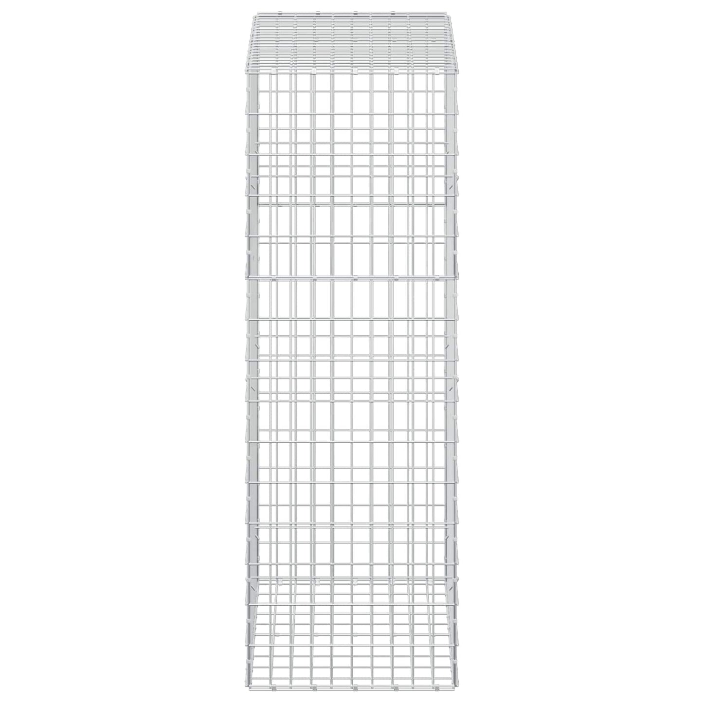 vidaXL Γκαμπιόν με σύρμα 3,5 mm και πλέγμα 5x10 cm 100x50x150 εκ