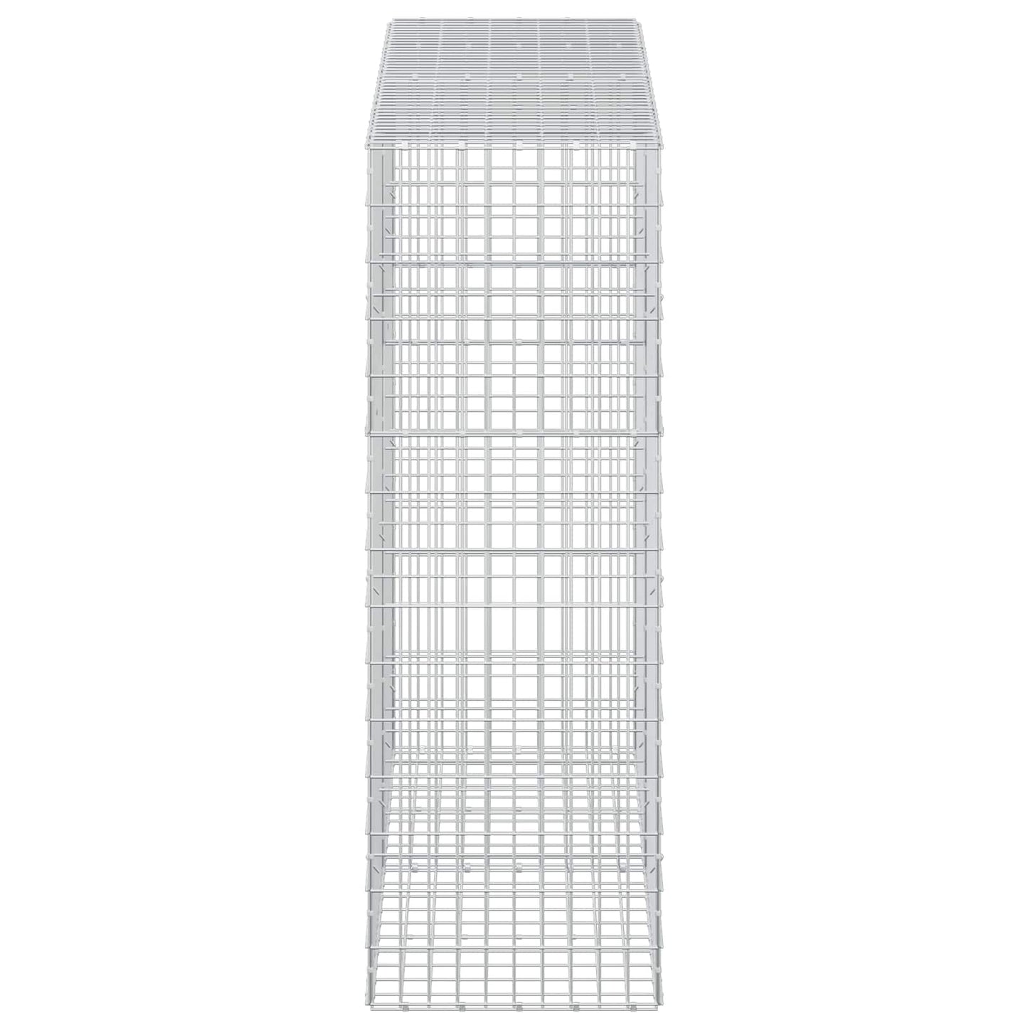 vidaXL Γκαμπιόν με σύρμα 3,5 mm και πλέγμα 5x10 cm 200x50x150 εκ