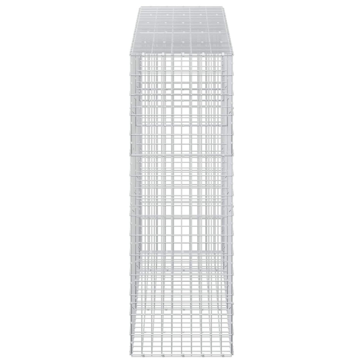 vidaXL Γκαμπιόν με σύρμα 3,5 mm και πλέγμα 5x10 cm 250x50x150 εκ