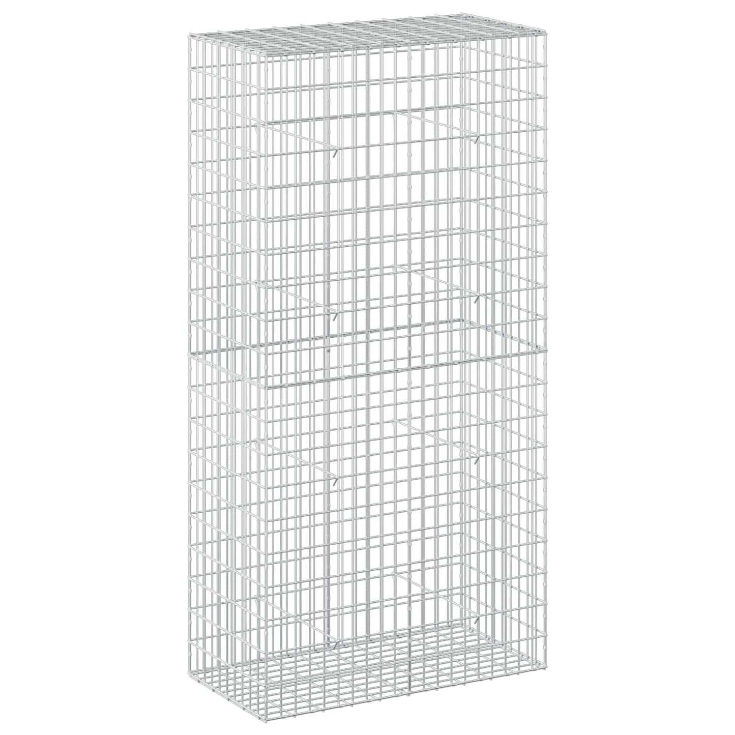 vidaXL Γκαμπιόν με σύρμα 3,5 mm και πλέγμα 5x10 cm 100x50x200 cm