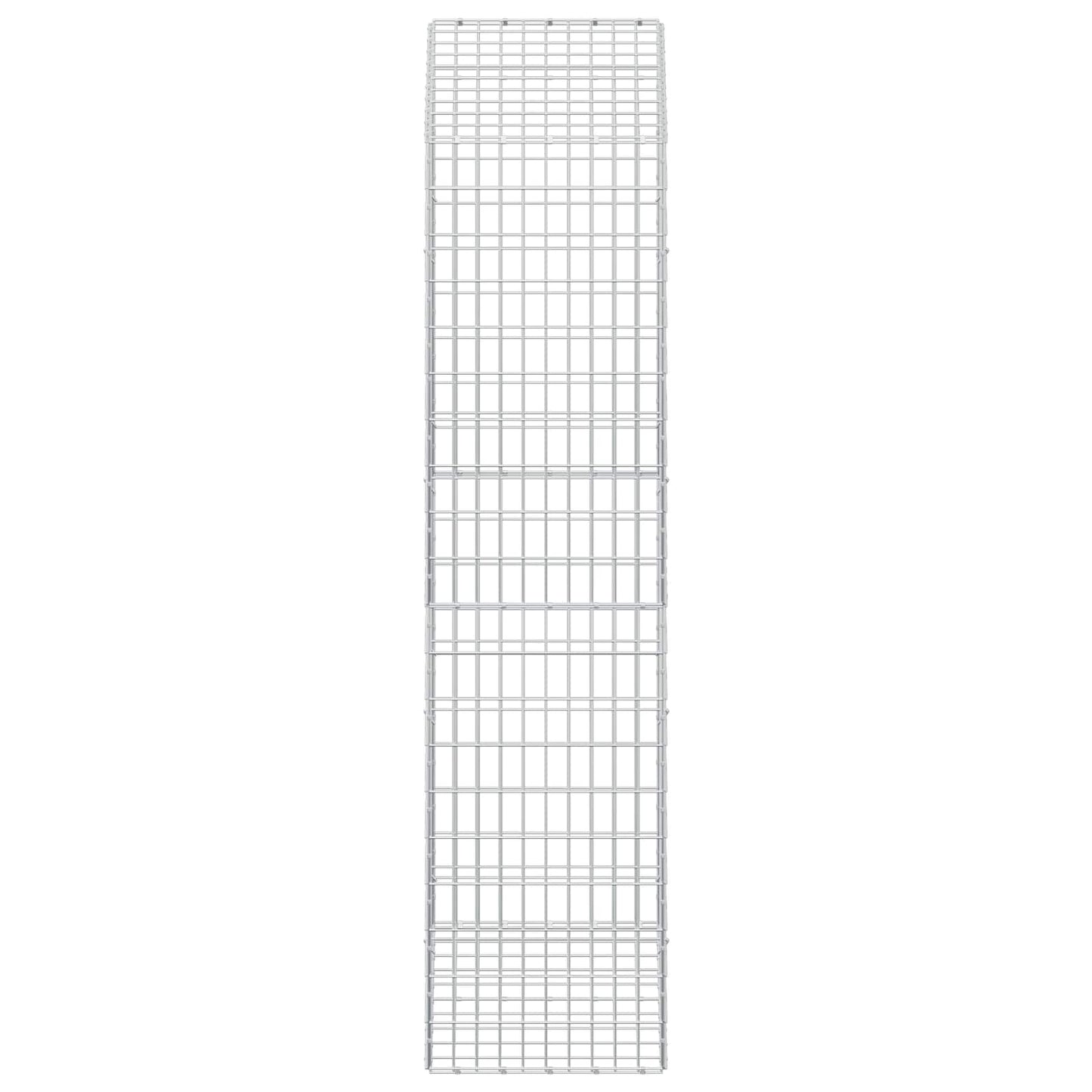 vidaXL Γκαμπιόν με σύρμα 3,5 mm και πλέγμα 5x10 cm 100x50x200 cm