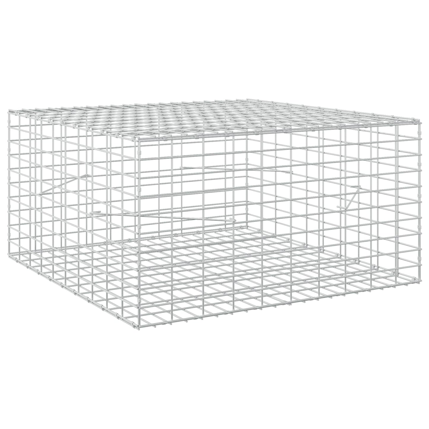 vidaXL Γκαμπιόν με σύρμα 3,5 mm και πλέγμα 5x10 cm 100x100x50 εκ