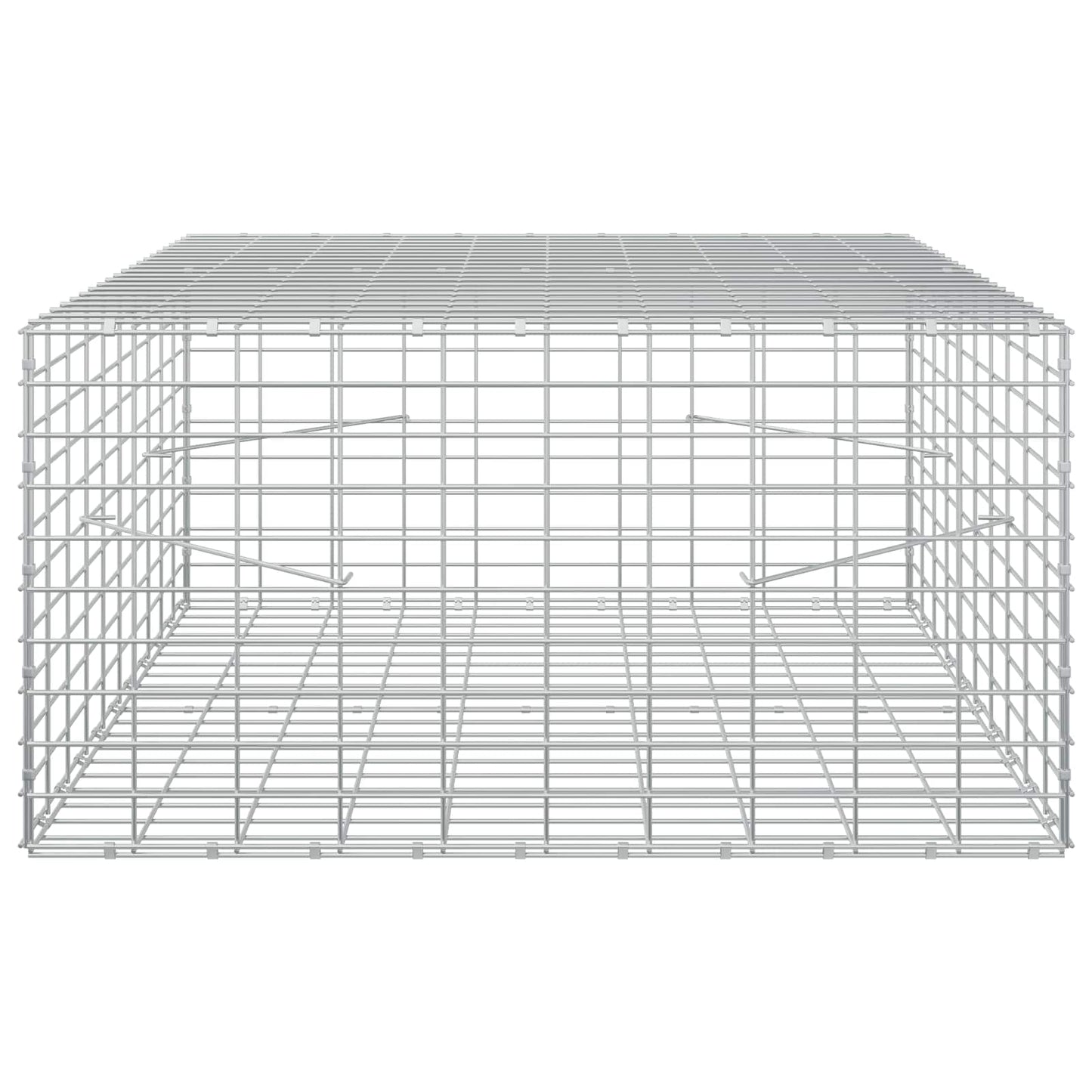 vidaXL Γκαμπιόν με σύρμα 3,5 mm και πλέγμα 5x10 cm 100x100x50 εκ